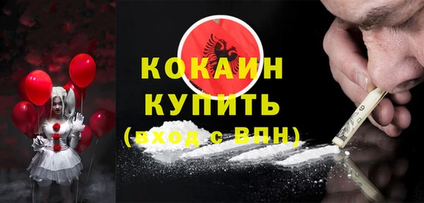 бошки Бронницы