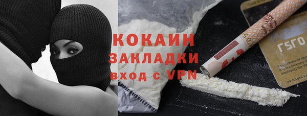 бошки Бронницы