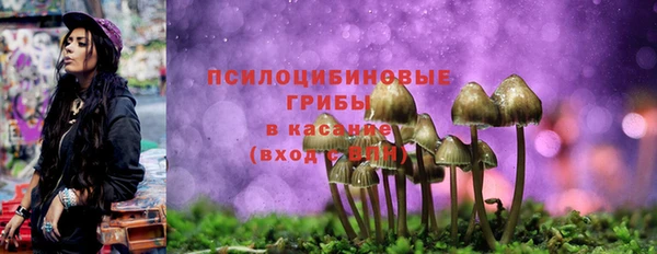 бошки Бронницы
