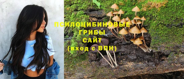 наркотики Бородино
